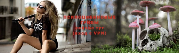 прущие крисы Белоозёрский