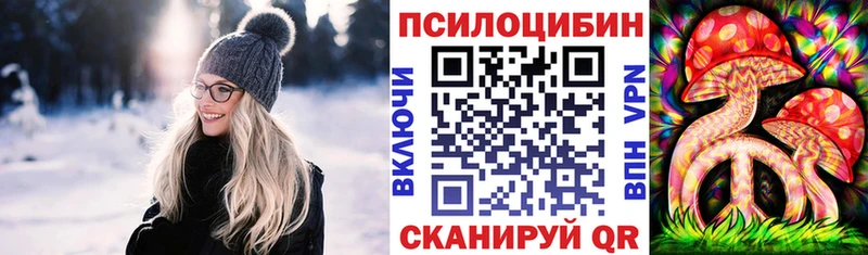 купить  цена  Кувандык  Псилоцибиновые грибы Cubensis 